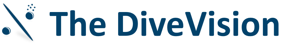 The DiveVision